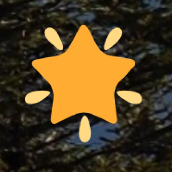 Nal Sarovar Bird Sanctuary – The Birdwatcher’s Paradise