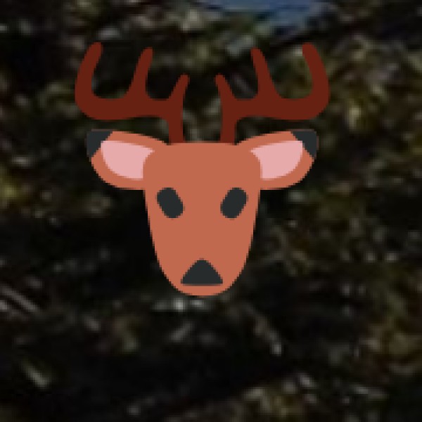 4. Wildlife & Nature Reserves