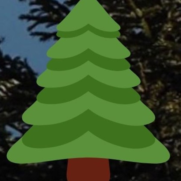 Jessore Sloth Bear Sanctuary – A Hidden Wildlife Treasure