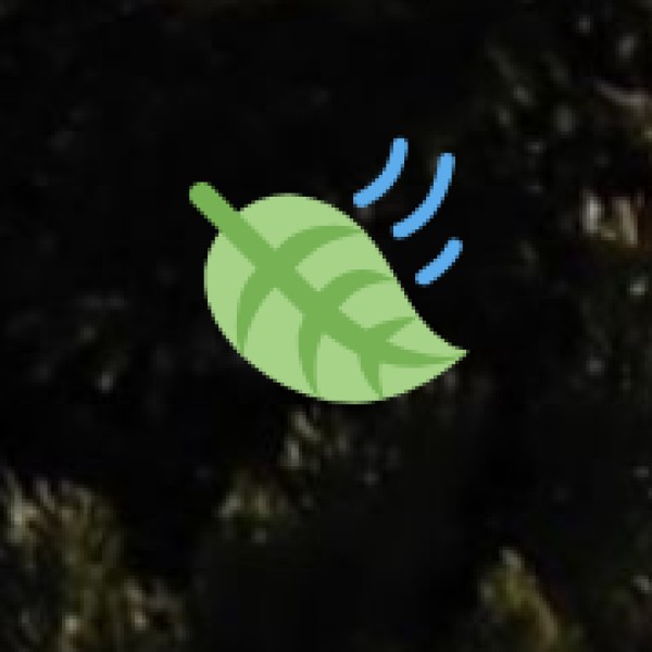 Silent Valley National Park