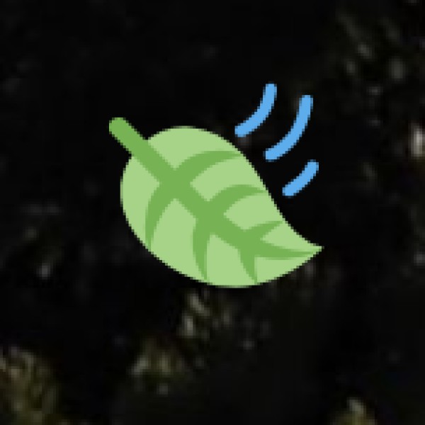 Pench National Park – Land of Mowgli & Sher Khan