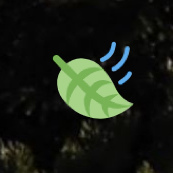 Embark on a Wild Adventure in Sikkim!