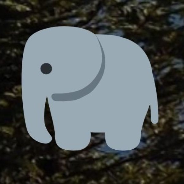 Dandeli Wildlife Sanctuary – The Adventure Hub