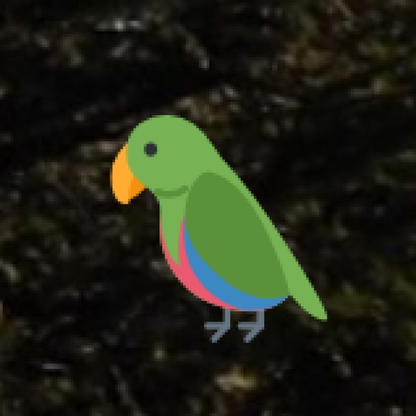 Birdlife: A Birder’s Paradise