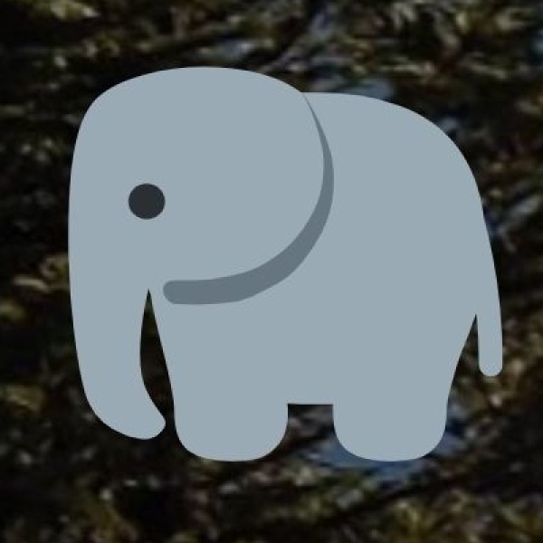 Chapramari Wildlife Sanctuary – The Elephant Corridor