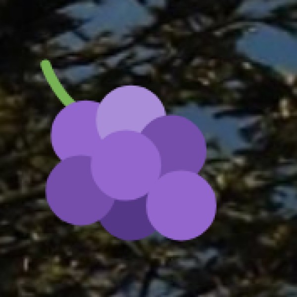 Pangolakha Wildlife Sanctuary – A Lesser-Known Gem