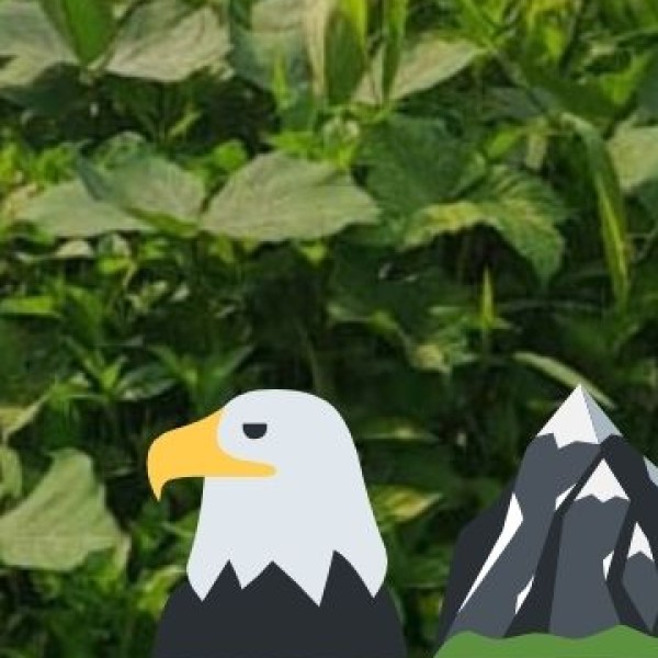 Wildlife Destinations in Maharashtra