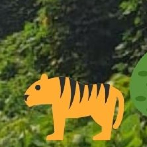 Bandhavgarh National Park – The Land of the Highest Tiger Density