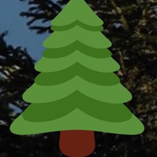 Start your Sikkim adventure today