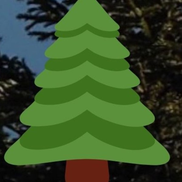 Pakhal Wildlife Sanctuary – Scenic Lake & Forest Reserve