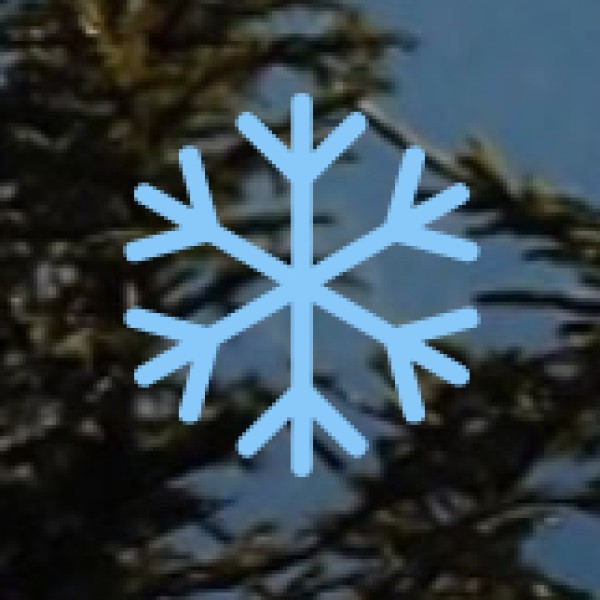 Satpura National Park – The Most Offbeat Wildlife Experience