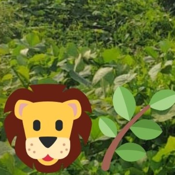 Renuka Wildlife Sanctuary (Sirmaur) – Home to the Asiatic Lion