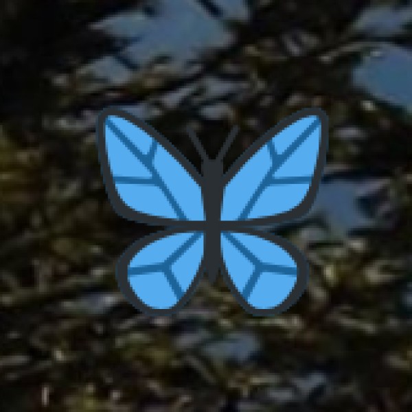 Hirpora Wildlife Sanctuary (Shopian, Kashmir) – Offbeat & Serene