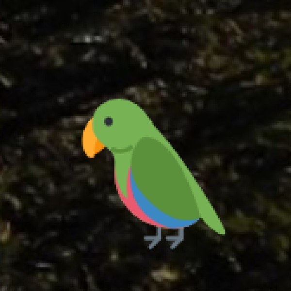 Kitam Bird Sanctuary – A Paradise for Birdwatchers