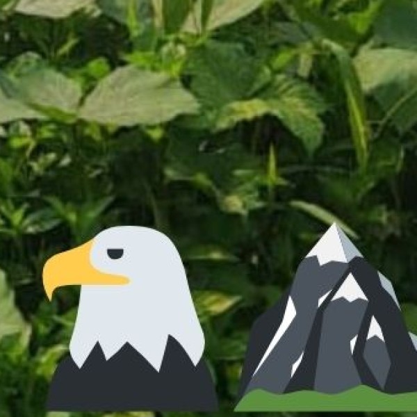 Keoladeo National Park – The Birdwatcher’s Paradise