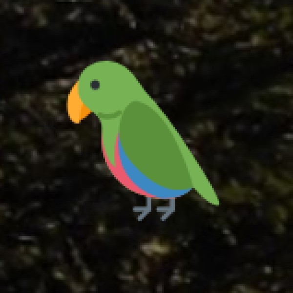 Birdwatching Destinations