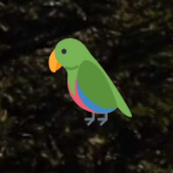 Dr. Salim Ali Bird Sanctuary – Goa’s Best Birdwatching Spot