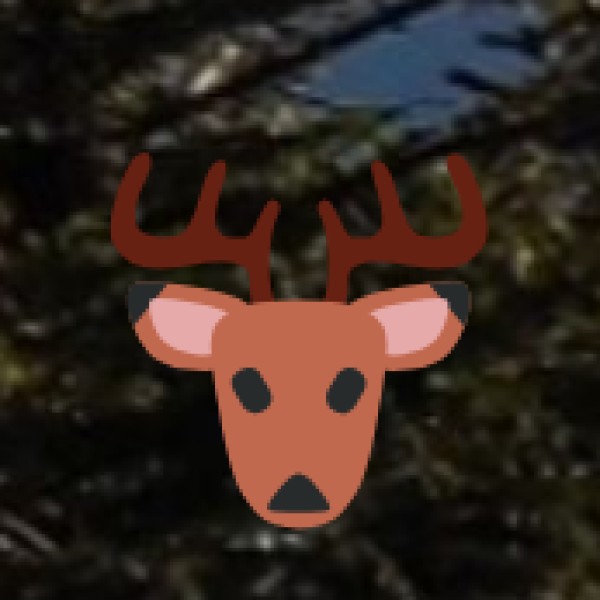 . Dachigam National Park (Kashmir) – Home of the Rare Hangul Deer