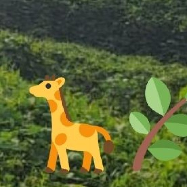 Best Wildlife & Nature Parks in Maharashtra