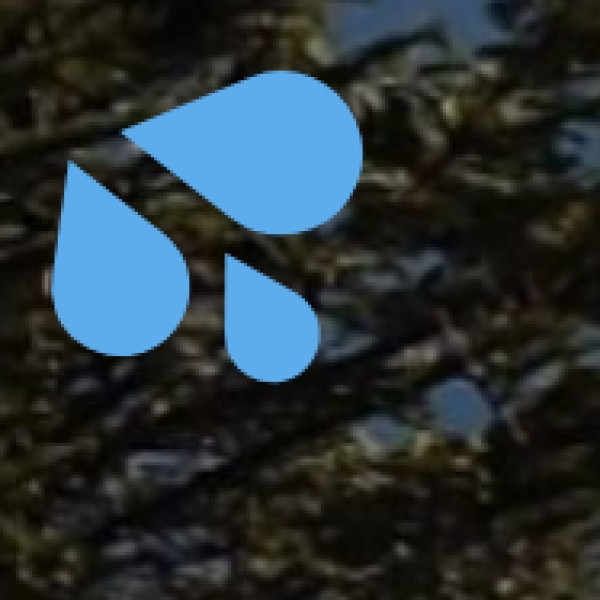 Chilika Lake – Asia’s Largest Coastal Lagoon & Dolphin Paradise