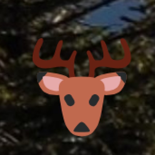 Kumbhalgarh Wildlife Sanctuary – Nature & History Combined