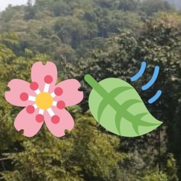 Kyongnosla Alpine Sanctuary – The Land of Rare Orchids