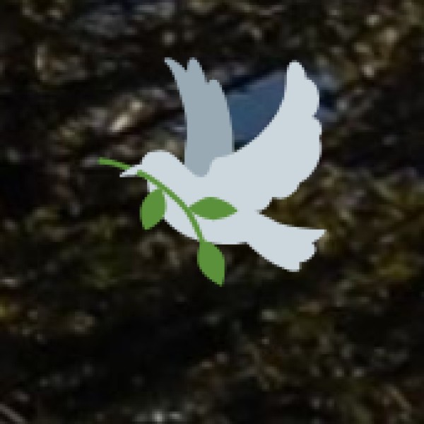 Top Eco-Tourism Spots: