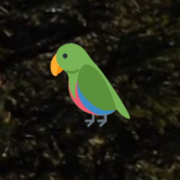 Bhigwan Bird Sanctuary – Maharashtra’s Best Birdwatching Destination