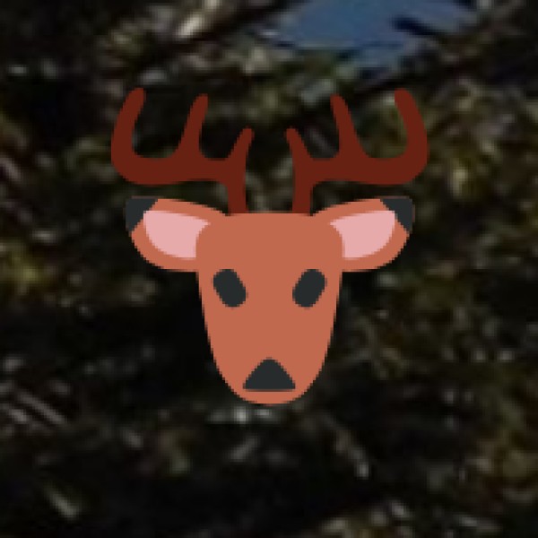 Mhadei Wildlife Sanctuary