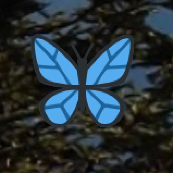 Eco-Friendly Government Initiatives