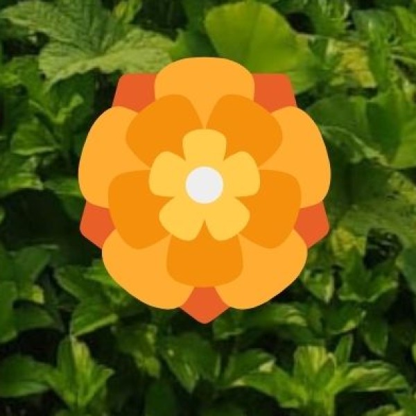 Koyna Wildlife Sanctuary – The Green Jewel of Maharashtra