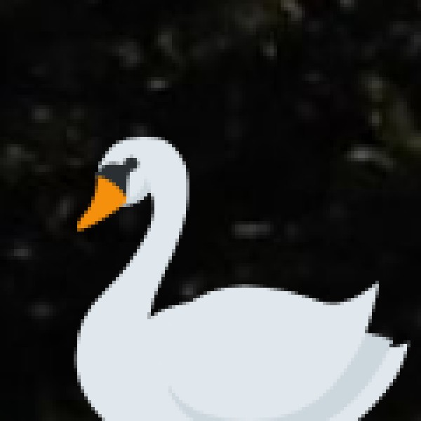 Top Wildlife Reserves & Parks in Ladakh