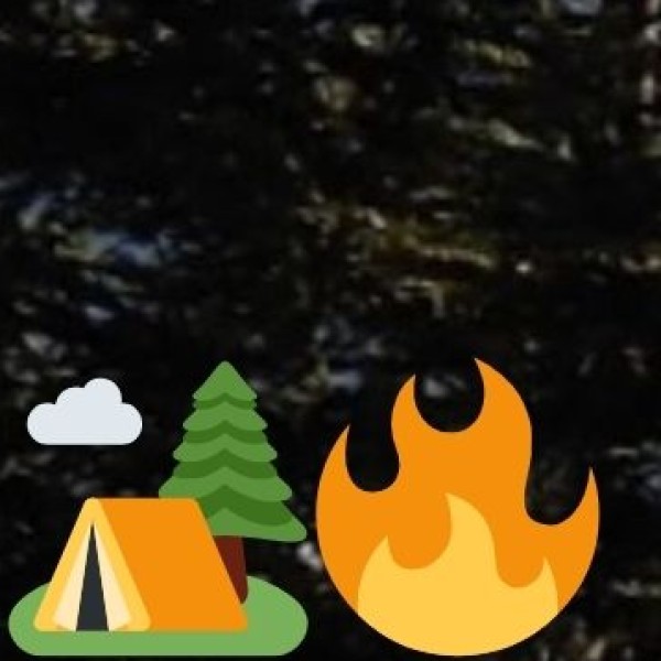 Sanjay Gandhi National Park – Mumbai’s Hidden Wilderness