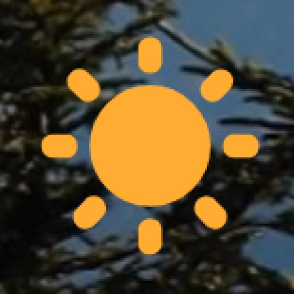 Best Time to Visit Wildlife Sanctuaries & National Parks