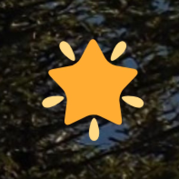 Neela Hauz Biodiversity Park