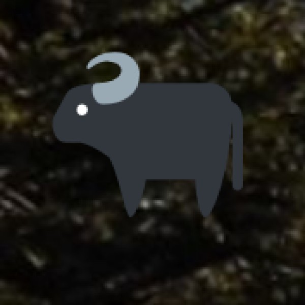 Wayanad Wildlife Sanctuary