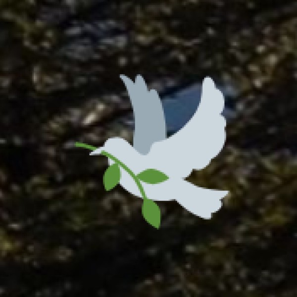 Ousteri Lake & Bird Sanctuary – A Biodiversity Hotspot