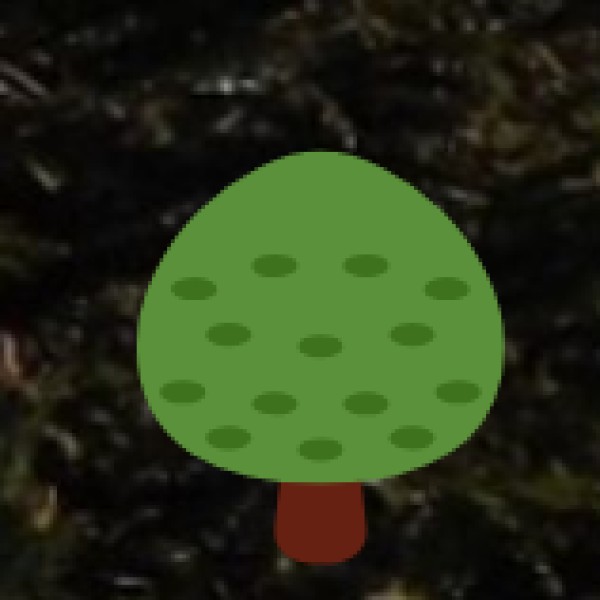 Sadhana Forest – Reforestation & Community Living