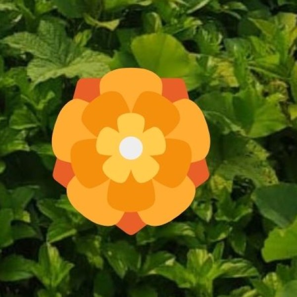 Important Biodiversity and Ecological Sites