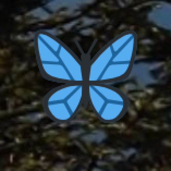 Scenic Nature Destinations