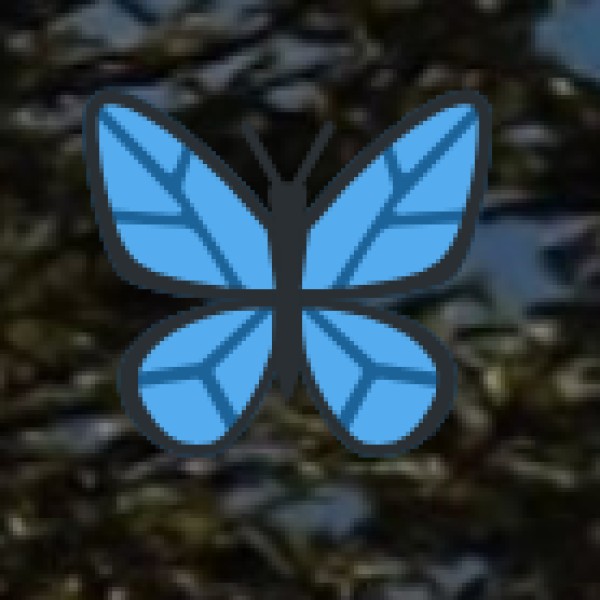 Best Time to Visit Wildlife Reserves in Himachal Pradesh