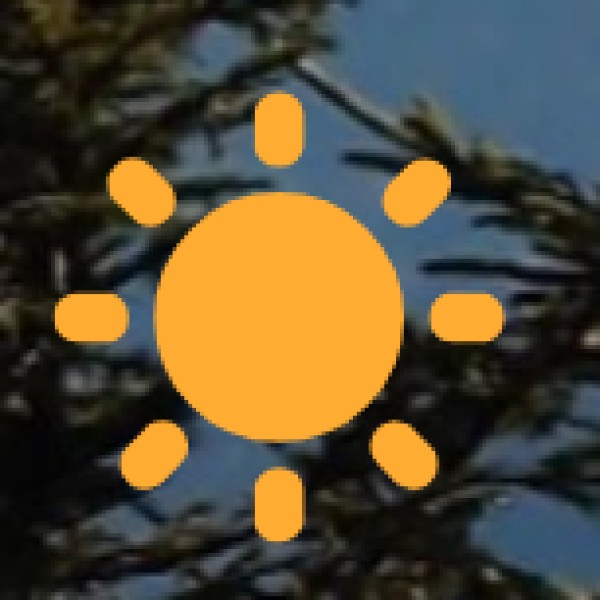 Yamuna Biodiversity Park