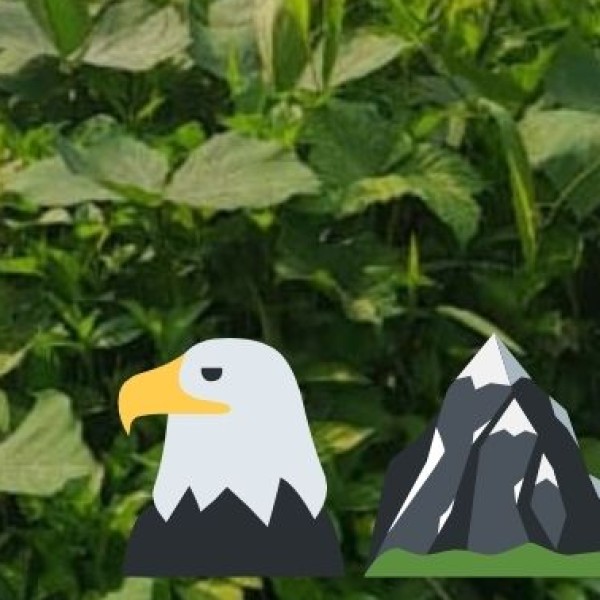 Lakh Bahosi Bird Sanctuary (Kannauj) – A Winter Camping Spot