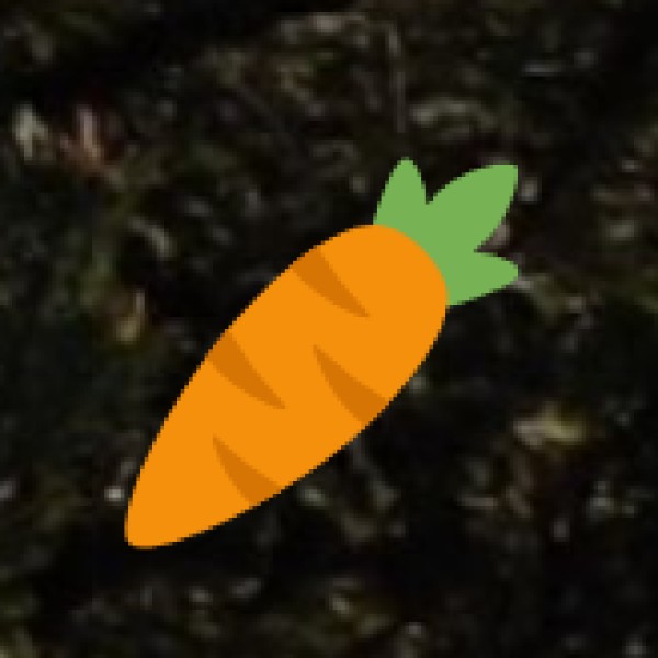 Bird Watching at Pulicat Lake & Nelapattu Sanctuary