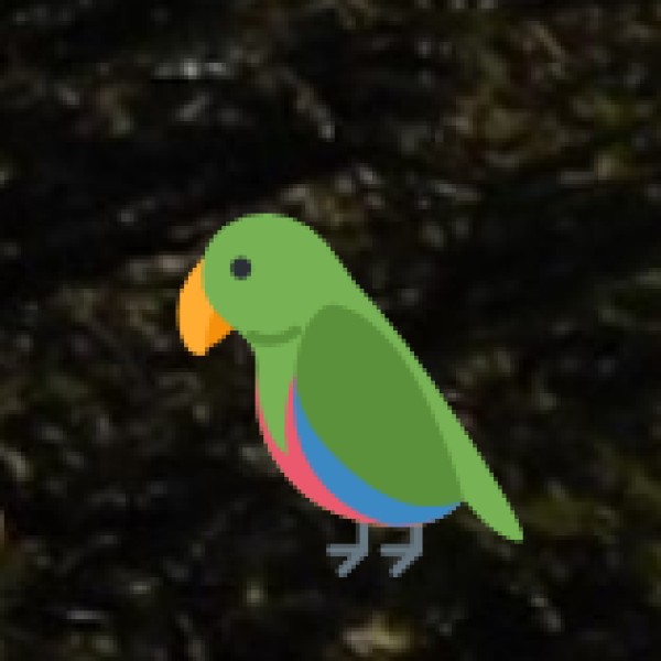 Mandagadde Bird Sanctuary (30 km from Shivamogga)