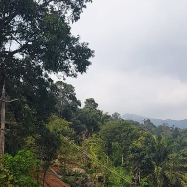 Top Activities & Experiences