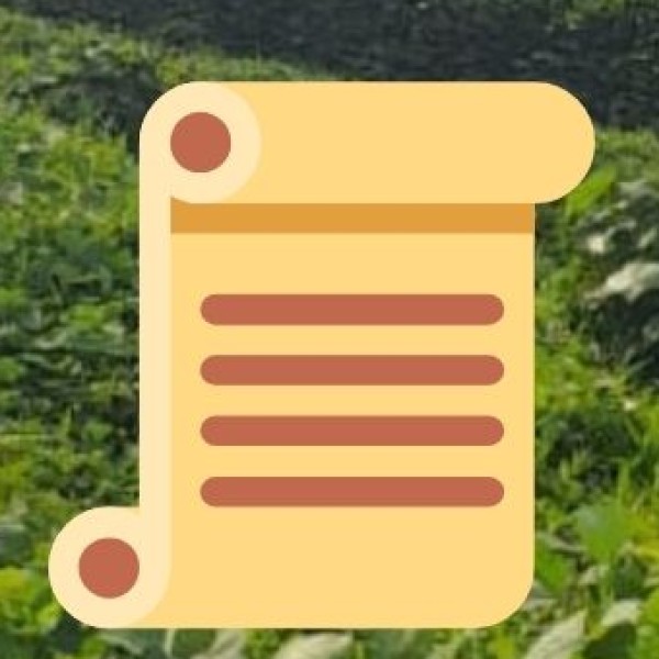 Paragliding at Hutti Hills