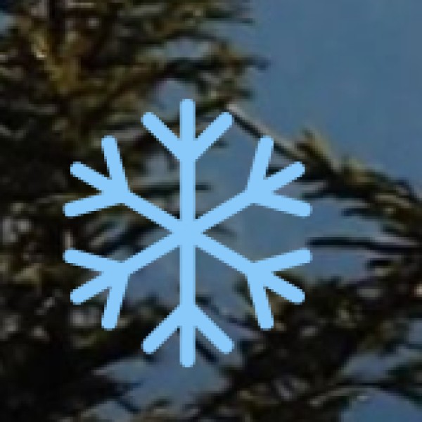 Kolli Hills – The Adventure Hub of Tamil Nadu