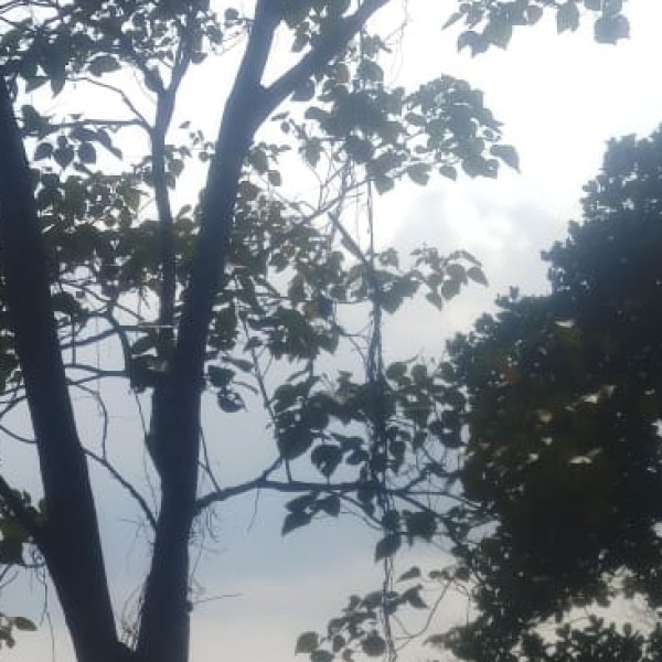 Top Activities & Experiences