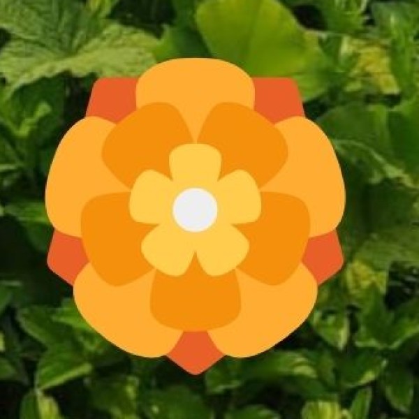 Mettur Dam – Tamil Nadu’s Largest Dam